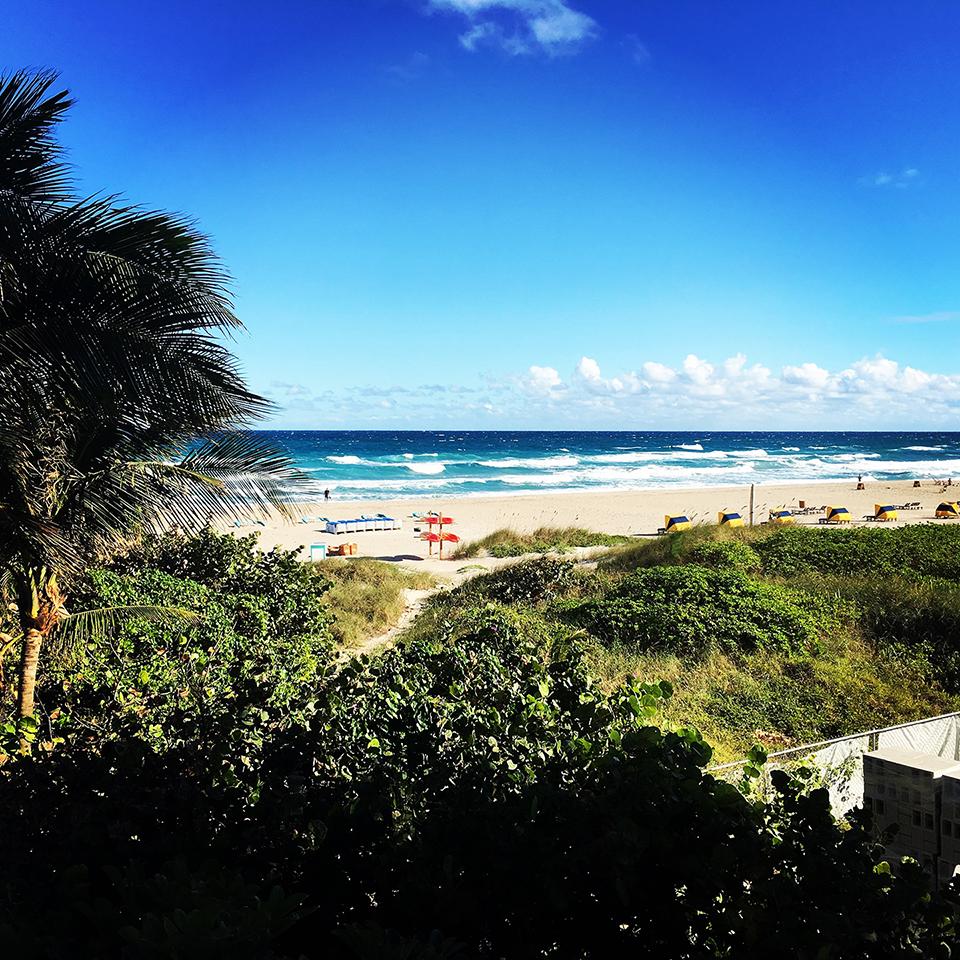 Adventurous dining in Palm Beach? In search of bizarre cuisine…